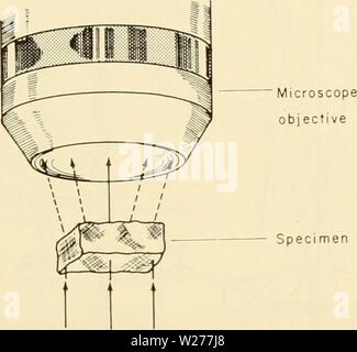 Immagine di archivio da pagina 248 della citologia (1961) Foto Stock