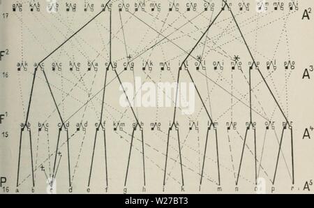 Immagine di archivio da pagina 261 di Das Werden der Organismen; zur Foto Stock