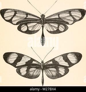 Immagine di archivio da pagina 262 del darwinismo; un'esposizione dei Foto Stock