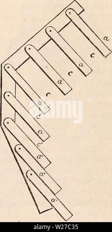 Immagine di archivio da pagina 262 della encyclopaedia - Wikizionario di anatomia e. Il encyclopaedia - Wikizionario di anatomia e fisiologia cyclopdiaofana0402todd Anno: 1849 diagramma che rappresenta la posizione delle nervature influenzata dalla posizione della colonna vertebrale. Contemporaneamente, i primi quattro avrebbe approxi- mate, mentre tutto il resto sarebbe recedere dall'altra. Pertanto le posizioni delle diverse parti che rappresentano la spina dorsale nella fig. 679. Il comando e regolare queste modifiche. consentendo di libera rotazione su un rigido di per- pendicular corpo a un ; lasciate che le estremità libere di queste barre essere mantenute distanziate in modo tale che le barre possono in ogni momento b Foto Stock