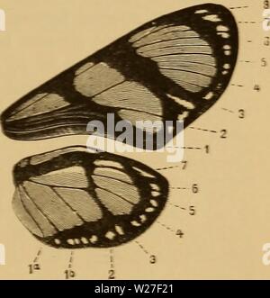 Immagine di archivio da pagina 272 del darwinismo; un'esposizione dei Foto Stock