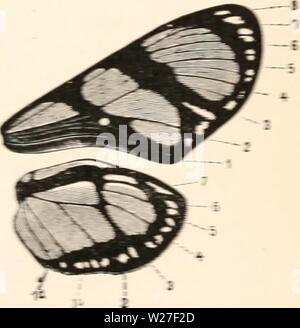 Immagine di archivio da pagina 272 del darwinismo; un'esposizione dei Foto Stock