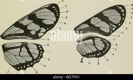 Immagine di archivio da pagina 274 del darwinismo un esposizione di Foto Stock