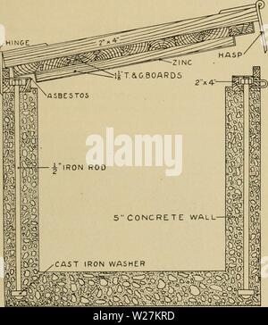 Immagine di archivio da pagina 290 di allevamento di animali da latte (1916) Foto Stock