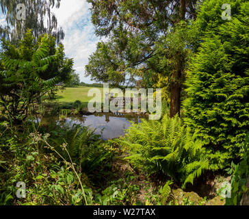 Il ponte giapponese,Mount Ephraim Gardens,Faversham,Kent Foto Stock