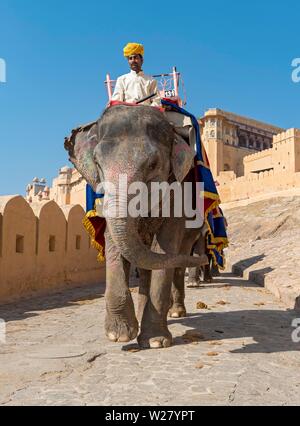 L'elefante indiano al Forte Amber, Jaipur, Rajasthan, India Foto Stock