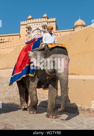Dipinto di elefante indiano al Forte Amber, Jaipur, Rajasthan, India Foto Stock