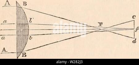 Immagine di archivio da pagina 347 della encyclopaedia - Wikizionario di anatomia e Foto Stock