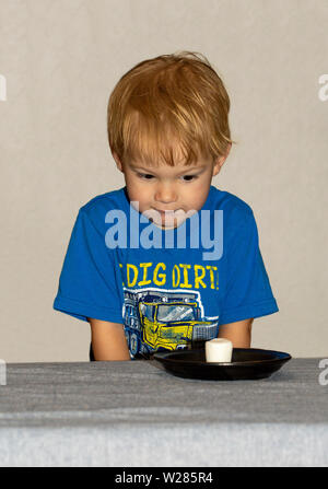 Un giovane bambino seduti ad un tavolo aspettando pazientemente per un marshmallow Foto Stock