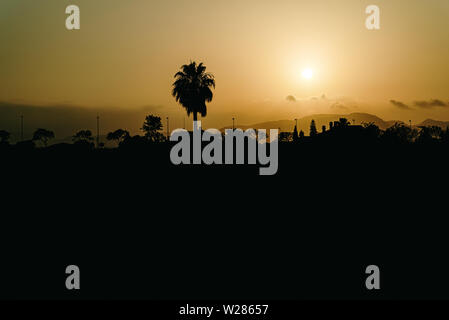 Silhouette di un paesaggio cittadino tradiremmo con un albero di palma contro il sole al tramonto su uno sfondo scuro, il concetto globale di riscaldamento climatico.