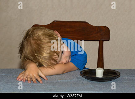 Un giovane bambino seduti ad un tavolo aspettando pazientemente per un marshmallow Foto Stock