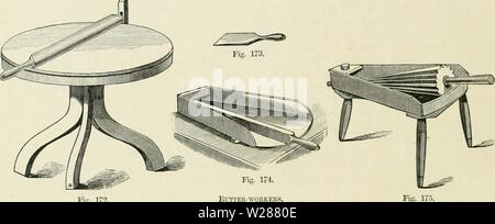 Immagine di archivio da pagina 381 di allevamento di animali da latte essendo il Foto Stock