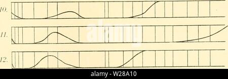 Immagine di archivio da pagina 396 di Denkschriften der Kaiserlichen Akademie der. Denkschriften der Kaiserlichen Akademie der Wissenschaften, Mathematisch-Naturwissenschaftliche Classe denkschriftender61kais Anno: 1894 Absorptionsspektren von farblosen und gefÃ¤rbten GlÃ¤sern. Assorbimento 293 erstreckt sich schwach ansteigend von E bis gegen G und wird im Ultraviolett sehr Stark. Mit steigendem Bleigehalt der Glasmasse werden unter sonst gleichen UmstÃ¤nden die EisenoxydglÃ¤ser dunkler gelb und der Absorptionsstreifen wird von Blau weiter gegen GrÃ¼n verschoben, indem die BleiglÃ¤ser eine stÃ¤rkere Foto Stock