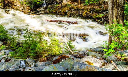 Neve di primavera melt tumbling su tronchi e massi su Mcgillivray Creek tra redcraig e Sun picchi nelle Highlands Shuswap in BC, Canada Foto Stock