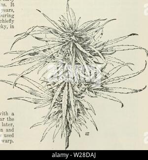 Immagine di archivio da pagina 424 di dell'Enciclopedia delle colture di fattoria