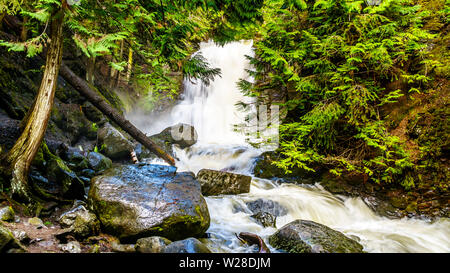 Neve di primavera melt tumbling su tronchi e massi su Mcgillivray Creek tra redcraig e Sun picchi nelle Highlands Shuswap in BC, Canada Foto Stock