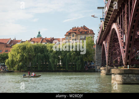 Un concorrente esegue un tuffo dal ponte vecchio durante il XIX Ponte annuale immersioni nel fiume Drava. Immersioni a ponte a Maribor è mostra concorso con la partecipazione di musicisti provenienti da tutta Europa. Esso offre immersioni dal livello del ponte, altezza di 15 metri e dalla rampa, altezza di 18 metri. Immersioni a ponte a Maribor è mostra concorso con la partecipazione di musicisti provenienti da tutta Europa Foto Stock