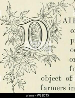 Immagine di archivio da pagina 427 di allevamento di animali da latte essendo il Foto Stock