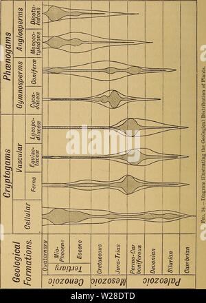 Immagine di archivio da pagina 427 del darwinismo; un'esposizione dei Foto Stock