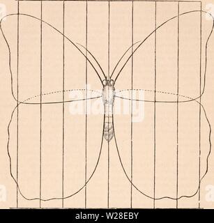 Immagine di archivio da pagina 433 della encyclopaedia - Wikizionario di anatomia e Foto Stock