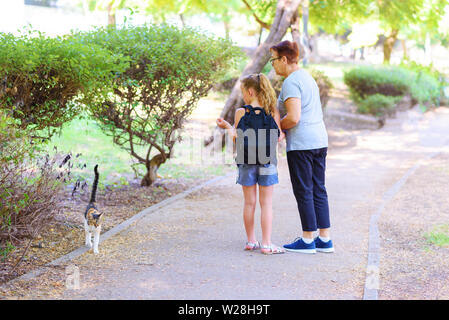 Street senzatetto cat. La nipote per mano di sua nonna ed essi guardando senzatetto kitty nel parco all'aperto. Ragazza e donna alimenta il abbandonato pet vagante sulla strada. Foto Stock