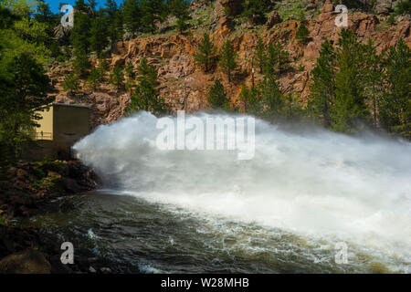 I germogli dal pulsante di roccia di paratoia Dam in montagna ad ovest di Longmont, Colorado Foto Stock