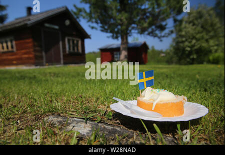 Torta in erba nella giornata nazionale della Svezia. Foto Stock