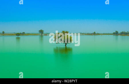 Un albero in un blue lago d acqua con cielo azzurro sfondo.tree in un lago nel Punjab, Pakistan. Foto Stock