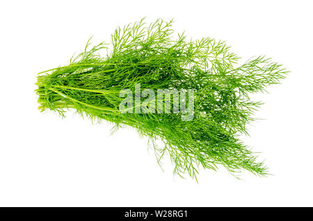 Mazzetto di fresco verde aneto isolati su sfondo bianco. Foto Stock