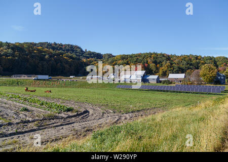 Energia solare generato il sito di allevamento, Vermont, USA. Foto Stock