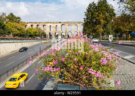 Fiori di colore rosa nella parte anteriore del valente acquedotto, un famoso punto di riferimento di Istanbul del patrimonio romano. Istanbul, Turchia, Ottobre 2018 Foto Stock