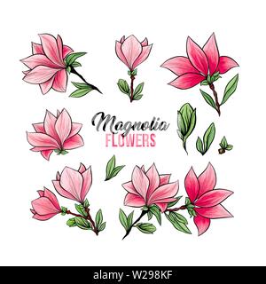 Magnolia bouquet di fiore in fiore, bella casa decor e il design degli interni, isolato illustrazione vettore set. Rosa bozzetto floreale di disegni. La molla blossom realistico cliparts. Matita di fiori di campo texture. Illustrazione Vettoriale