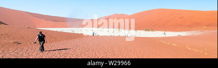 Camel Thorn trees nell'argilla pan di Deadvlei, a Soussusvlei, Namibia Foto Stock