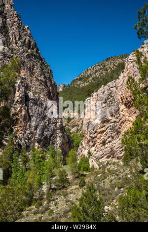 Karst formazioni rocciose, Rio Guadalope canyon, strada per Montoro de Mezquita, Organos de Montoro area, Maestrazgo, provincia di Teruel, Aragona, Spagna Foto Stock