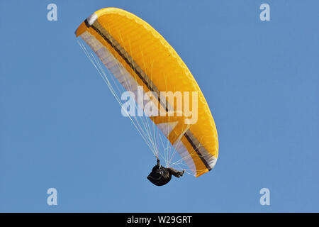 Parapendio in volo , vista dal basso Foto Stock