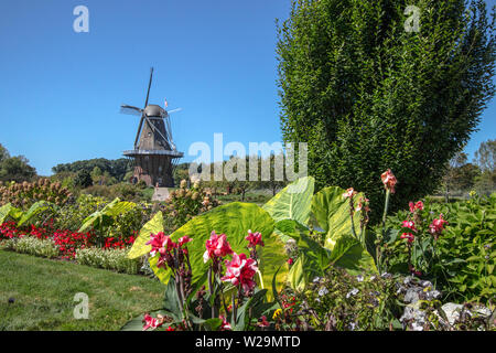 Holland Michigan Mulino a vento olandese. Il più antico autentico mulino a vento olandese in America si trova in Olanda, Michigan è il fulcro Tulip Ti Foto Stock