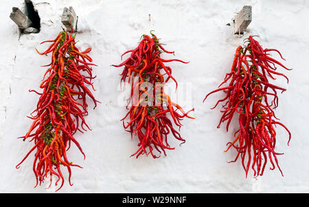 Peperoni rossi secchi appesi al muro Foto Stock