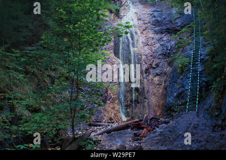 Vista della cascata Duhovy, lungo la scala di metallo. L'acqua che cade giù la pietra in Hornad canyon, Slovensky Raj, Slovacchia. Alta verde scuro alberi, rocce. Foto Stock