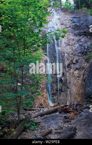 Vista della cascata Duhovy. L'acqua che cade giù la pietra in Hornad canyon, Slovensky Raj, Slovacchia. Alta verde scuro alberi, rocce. Giornata calda in Settemb Foto Stock