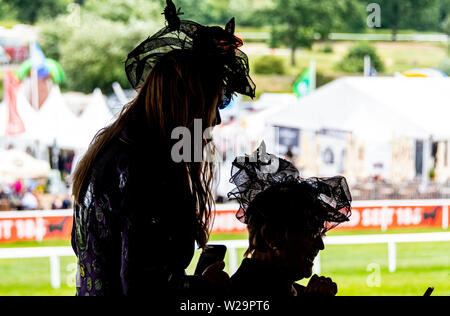 Amburgo, Germania. 07 Luglio, 2019. Corse di cavalli: galoppo, Derby Settimana di Amburgo. I visitatori del Derby settimana guardare una gara dalla tribuna. Credito: Axel Heimken/dpa/Alamy Live News Foto Stock