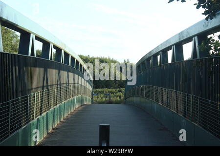 Immagine della passerella verde ponte con arbusti e alberi in lontananza su un lago su una soleggiata giornata chiara Foto Stock