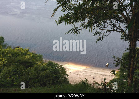 Paesaggio, Terra Preta comunità, Cuieiras River, Amazônia, Manaus, Amazonas, Brasile Foto Stock