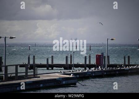 Rottnest Island Marina, Perth Western Australia Foto Stock