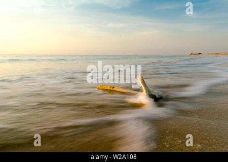 Il movimento sfocati colpo di punteruolo su legno shivrajpur beach in Gujarat Foto Stock