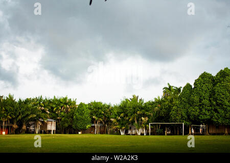 Paesaggio, Terra Preta comunità, Cuieiras River, Amazônia, Manaus, Amazonas, Brasile Foto Stock