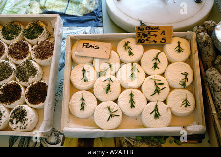 Visualizzazione di fresco Formaggio di capra o di formaggio di capra decorate con ciuffi di foglie di rosmarino in stallo del mercato Bonnieux Luberon Provence Francia Foto Stock