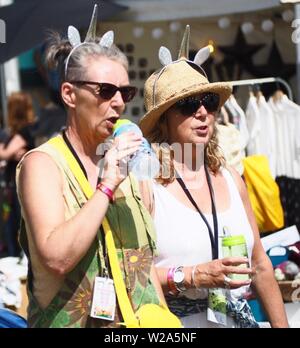 Grande parco Tew, grande Tew, Oxfordshire, Regno Unito. Il 7 luglio 2019. Idrato di festaioli loro stessi a Cornbury Music Festival. Credito: Laura Bassi/Alamy Live News Foto Stock