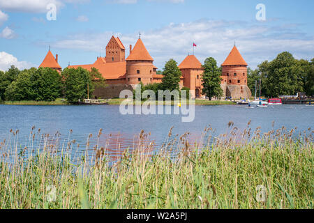 Il castello medievale di Trakai, Vilnius, Lituania, Europa orientale, situato tra bellissimi laghi e la natura, vista da canne Foto Stock