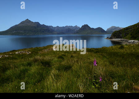 Vista da Elgol sopra Loch Skavaig al Cuillin Hills. Un foxglove cresce nell'erba lunga su una scogliera. Foto Stock