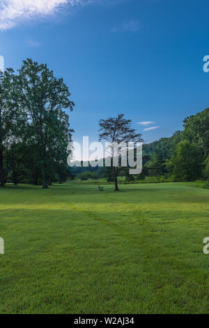 Un angolo ampio paesaggio verticale foto di un prato con ben curato di erba verde e alberi sotto un cielo blu. Foto Stock